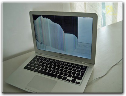 Замена матрицы Apple MacBook в Новоалтайске