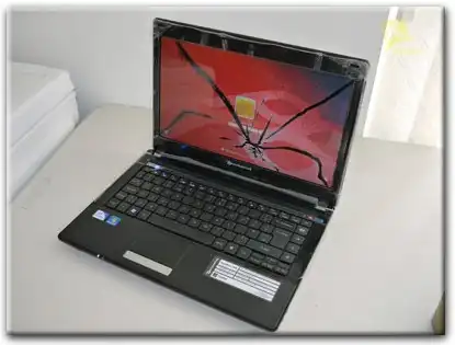 Замена матрицы Packard Bell в Новоалтайске